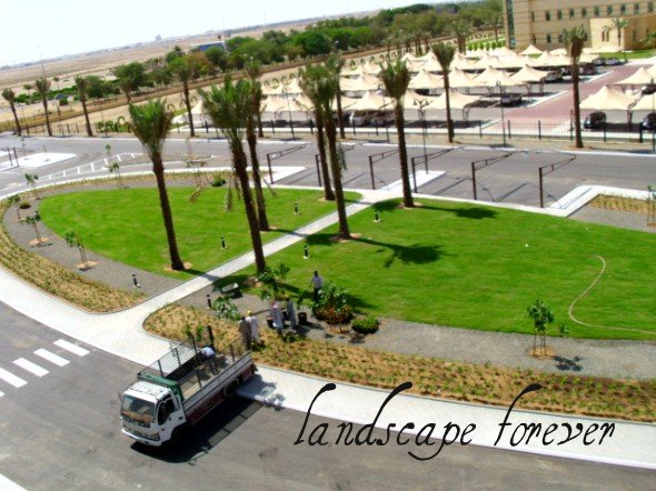 landscape forever 